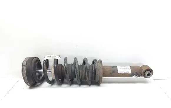 BMW X3 F25 Rear shock absorber with coil spring 6796317 33526796317