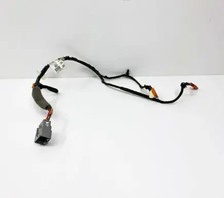 Ford Escape III Other wiring loom FV4T14B079R59CL FV4T14B079