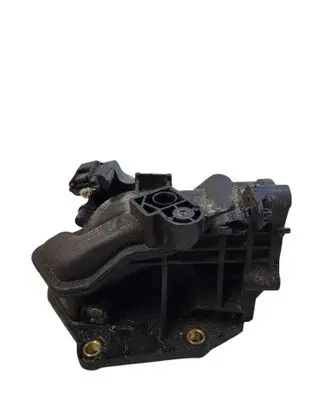 Nissan Qashqai+2 Throttle valve A2C53350932