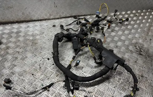 Jaguar XF X250 Engine installation wiring loom 8X2Q9H589AC