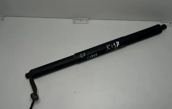 Tailgate/trunk strut/damper