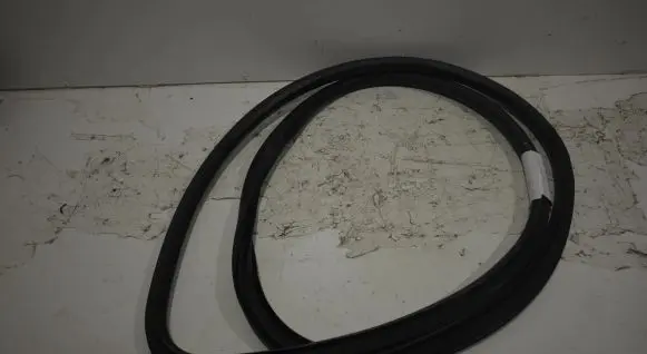 Opel Insignia A Front door rubber seal