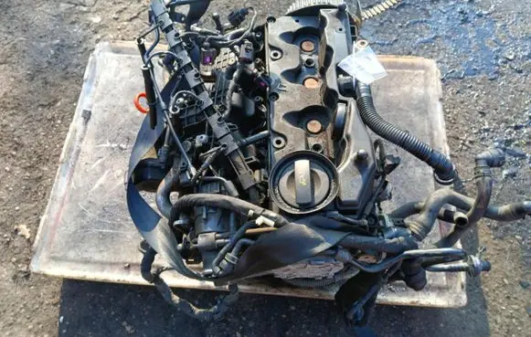 Skoda Octavia Mk2 (1Z) Engine
