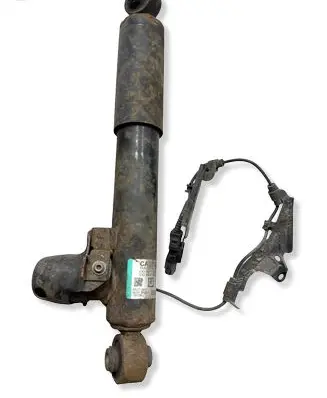 Lexus NX Rear shock absorber with coil spring 4853178011