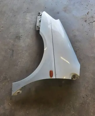 Renault Scenic I Fender 