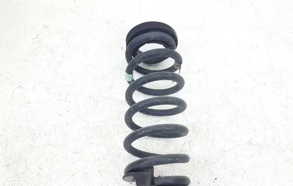 Ford Edge II Rear coil spring F2GC5560 F2GC5560BND Q48PA