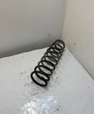 Rear coil spring