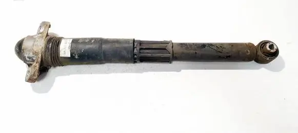 Volkswagen ID.3 Rear shock absorber/damper 1EA512011AD