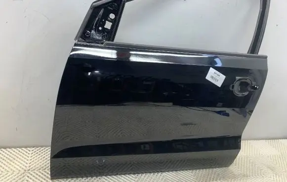 Volkswagen Polo V 6R Front door L041