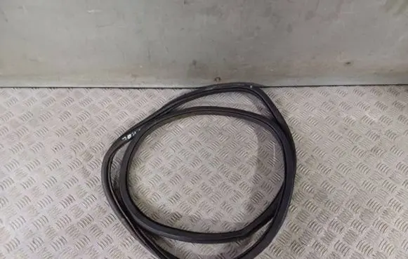 Skoda Scala Front door rubber seal 