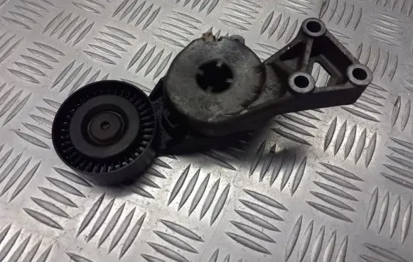 Skoda Fabia Mk1 (6Y) Alternator belt tensioner pulley 