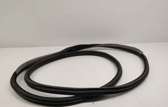 Renault Latitude (L70) Rear door rubber seal (on body) 
