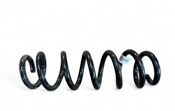 Rear coil spring