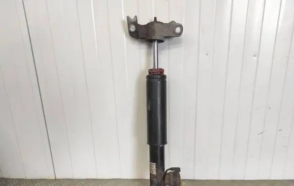 Opel Insignia A Rear shock absorber/damper 13319754 442400005 315000331