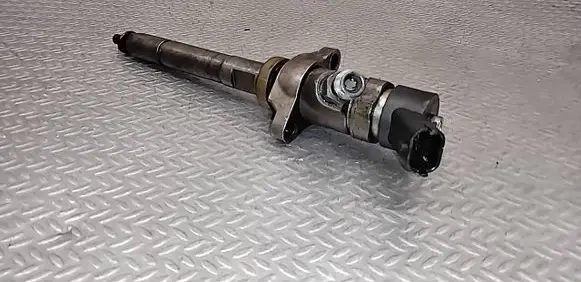Peugeot 307 Fuel injector 0445110239