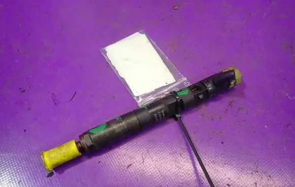 Renault Megane II Fuel injector 