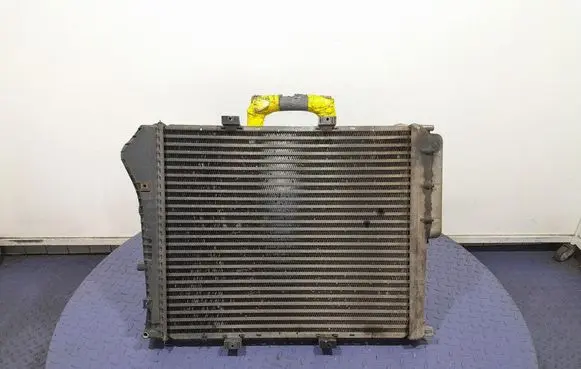 Renault Megane III Intercooler radiator 7482143049