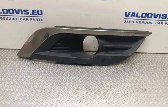 Front fog light trim/grill