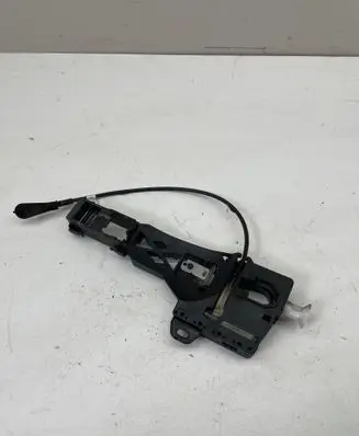 Renault Scenic IV - Grand scenic IV Rear door exterior handle/bracket 806078862R 825003064R