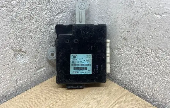 KIA Sorento Door central lock control unit/module 954003E300 A000193 S313300653