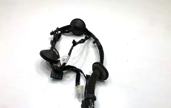 KIA Sportage Rear door wiring loom 91660F1070