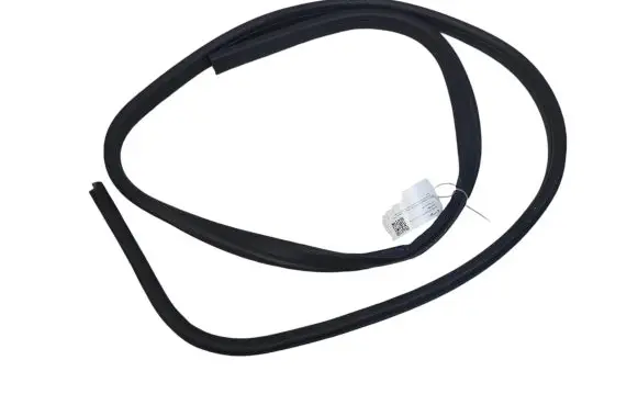 Ford Focus Front door rubber seal