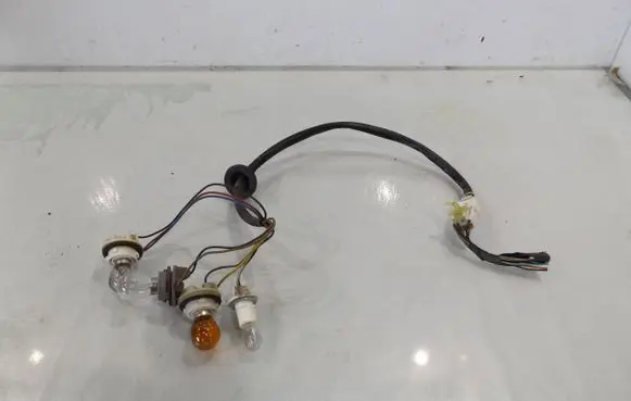 Chevrolet Captiva Tail light bulb cover holder