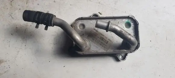 Mercedes-Benz S W220 Engine oil radiator A1121800311