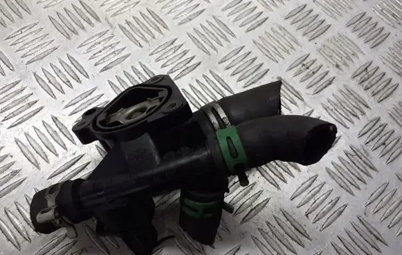 Thermostat/thermostat housing