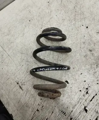 Rear coil spring