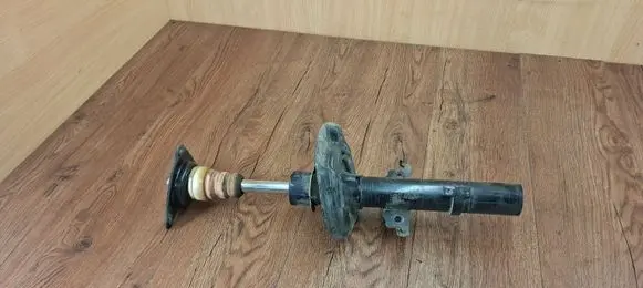 Renault Megane IV Front shock absorber/damper 543025200R
