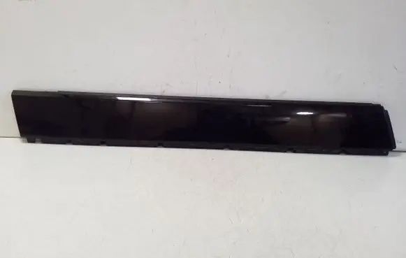 Opel Ampera Front door glass trim molding 
