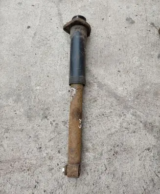 Land Rover Range Rover L322 Rear shock absorber/damper 6753057