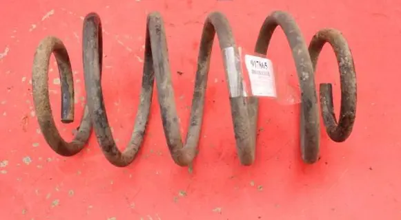 Rear coil spring