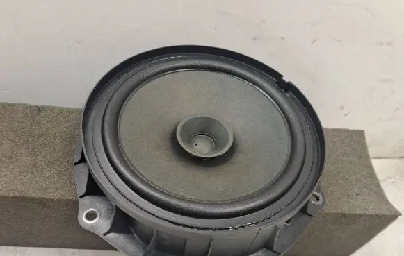 Dacia Sandero III Front door speaker 281443585R