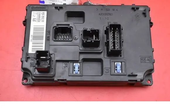 Engine control unit/module ECU
