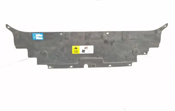 Engine bonnet/hood lock trim molding