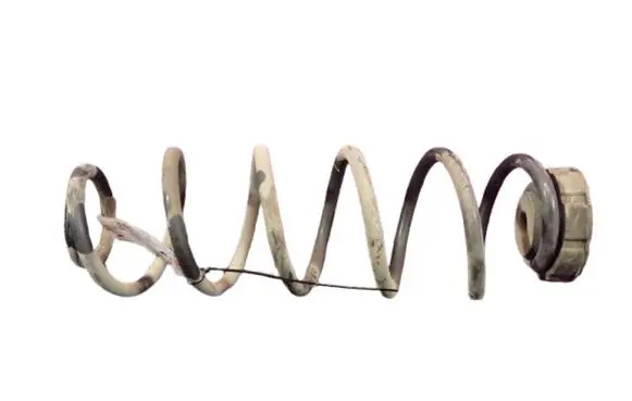 Rear coil spring