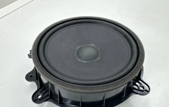 Tesla Model 3 Front door speaker 107974400E 11647001 25042305L21A
