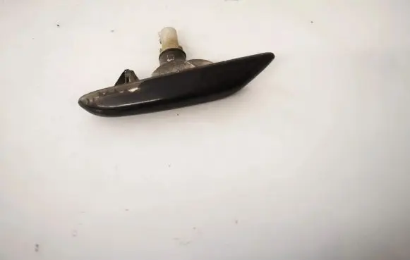 Front fender indicator light