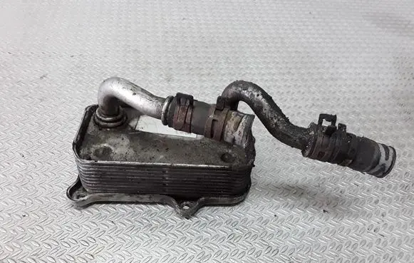 Mercedes-Benz S W220 Oil filter mounting bracket