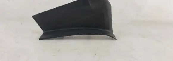 Rear/tail light trim molding