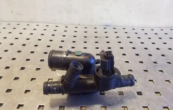 Thermostat/thermostat housing