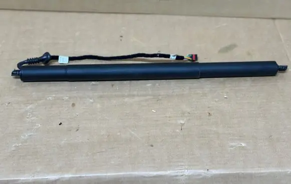Tailgate strut
