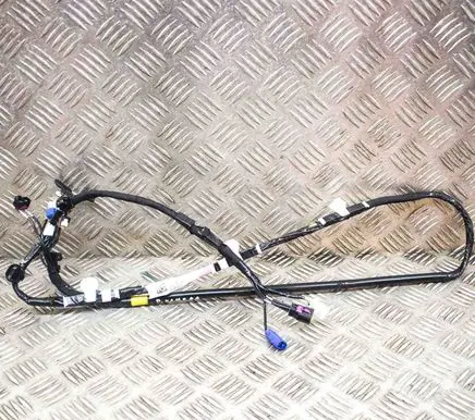 Tesla Model 3 Other wiring loom 106878700E