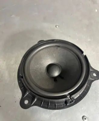Renault Captur II Front door speaker A4538270200 H013080R 281569368R