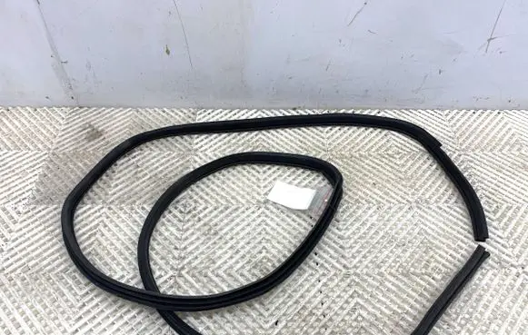 Nissan Qashqai Rubber seal front door (on door) 