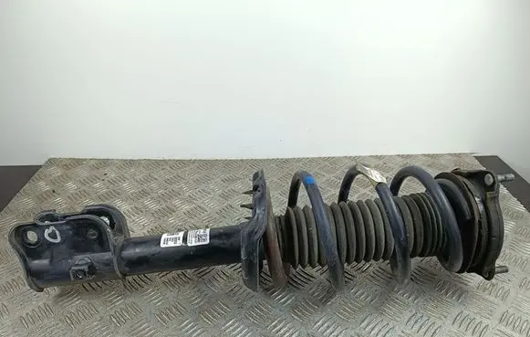 KIA Telluride Front shock absorber with coil spring 54600S9100