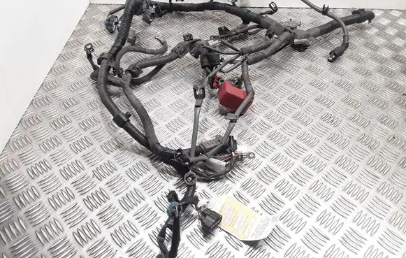 Engine installation wiring loom