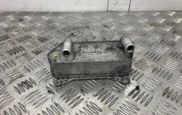 Volkswagen PASSAT CC Engine oil radiator 02E109061B MEA47034
